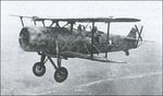 Ro-37_1.jpg