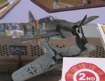 2_Fw190A-9_7412.JPG