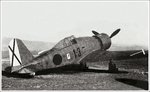 Fiat G-50 Freccia 002.jpg