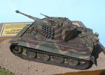 35_Tiger 211_8384.JPG