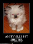 Amityville.jpg