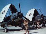 FAA1copy.jpg
