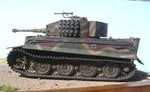 37_Tiger 211_8389.JPG