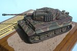 38_Tiger 211_8390.JPG