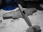 Picture 004.jpg