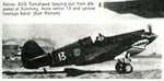 P-40 white13.jpg
