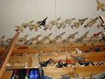 DSC01851.jpg