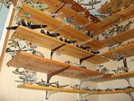 DSC01877.jpg