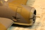 100327 Nose Closeup.jpg