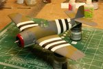 100328 Overall with stripes.jpg