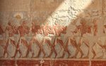 6-3 Hieroglyphics.JPG