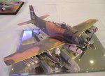 1_Skyraider_4554.JPG