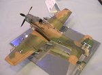 1_Skyraider_4754.JPG