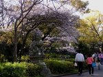 P1010155RS.JPG