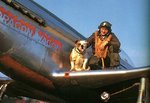 American pilot and pet.jpg