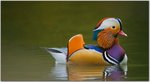 1597_j8UAlDp.jpg