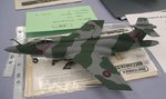 7_Buccaneer_6993.JPG
