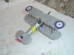 DSC03355.JPG