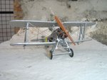 DSC03356.JPG
