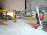 DSC03368.JPG