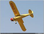 renostead4sd15septimcoc.jpg