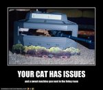 funny-pictures-cat-has-issues.jpg
