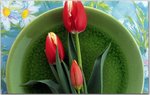Floral Feast Vol.2-16.jpg