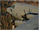 hercules3.jpg