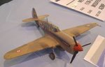 8_P-40_4519.JPG