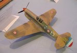 8_P-40_4521.JPG