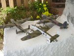 DSC03216.jpg