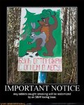 Fire notice.jpg