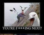 Your next.jpg