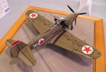 9_P-39_4523.JPG