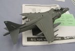 6_Harrier_6954.JPG