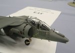 6_Harrier_7406.JPG