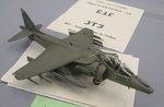 6_Harrier_7407.JPG