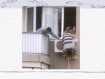 security_932.jpg