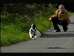 jumping_170.jpg