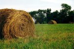 haybales-smalbl_186.jpg