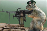 french_recruit_141.jpg