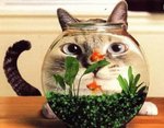 chat_aquarium_2_922.jpg