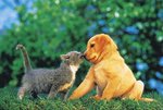 eatyournose_176.jpg