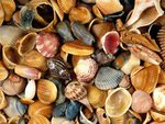 11plages_141_525.jpg