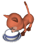 kitty_drinking_milk_lg_clr_229.gif
