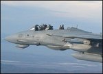 f-14_rio_and_canopy_gone_325.jpg