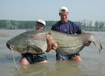 bigcatfish_169.jpg