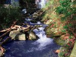 river_631.jpg