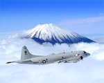 p-3fugi_20email2b_203.jpg