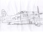 0bearcat_907.jpg